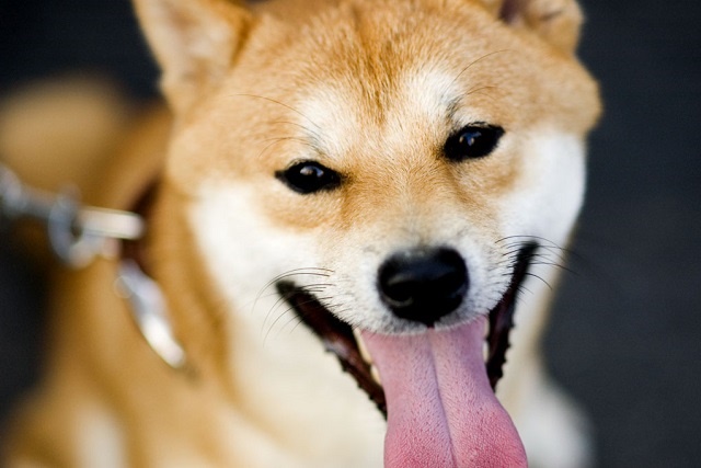 ybg{̂߂̎ȕ@Ƃ
