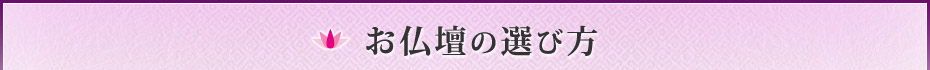 d̑Iѕ